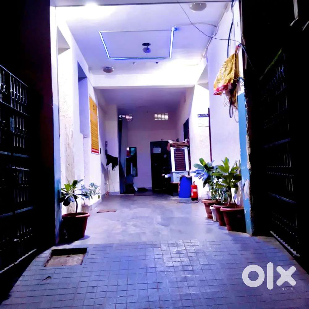 Downtown premium pg for boys