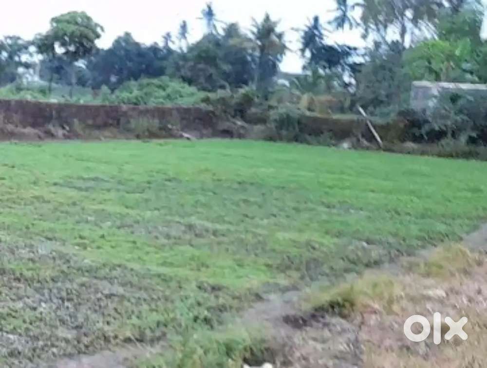 2613 sq ft Residential Plot for Sale Near Gopalpur, Cuttack