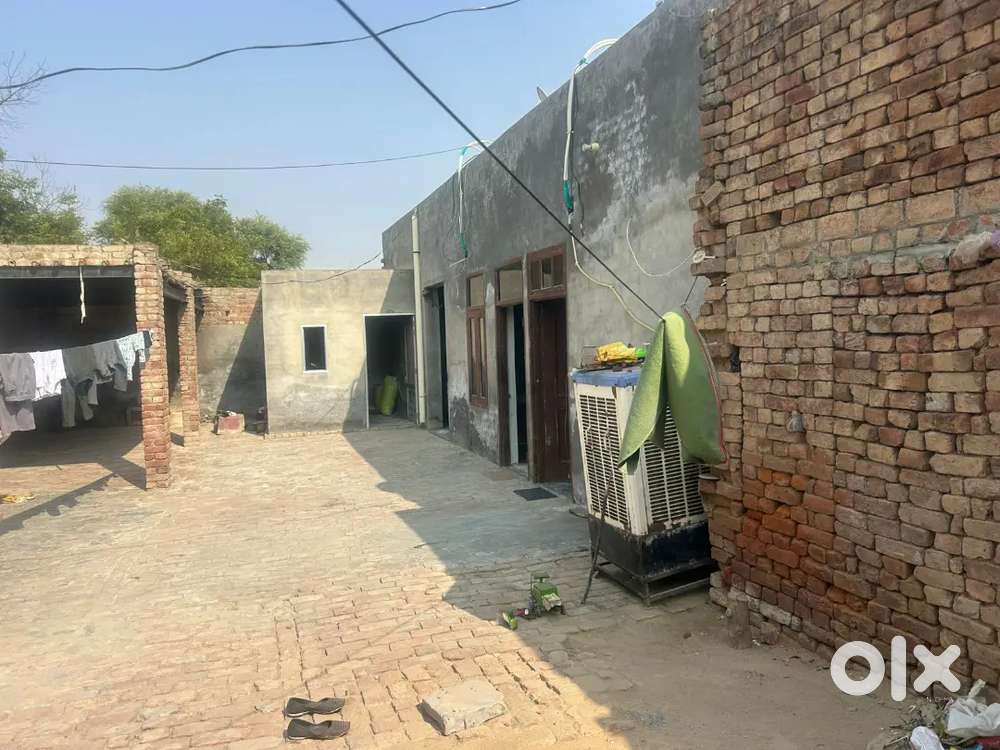 At Very Affordable cost