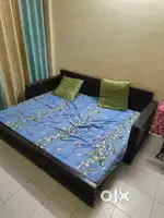 Sofa cum bed
