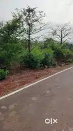 NA PLOT FOR SALE, BICHOLIM, AREA 326SQMTR, PRICE@₹15,999/SQMTR