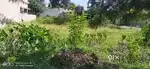 333 Sqyrd. Plot in  Subhash Nagar Dehradun