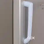 Available in Fridge on Rent