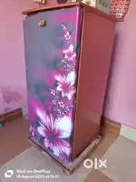 Singer wonder chill