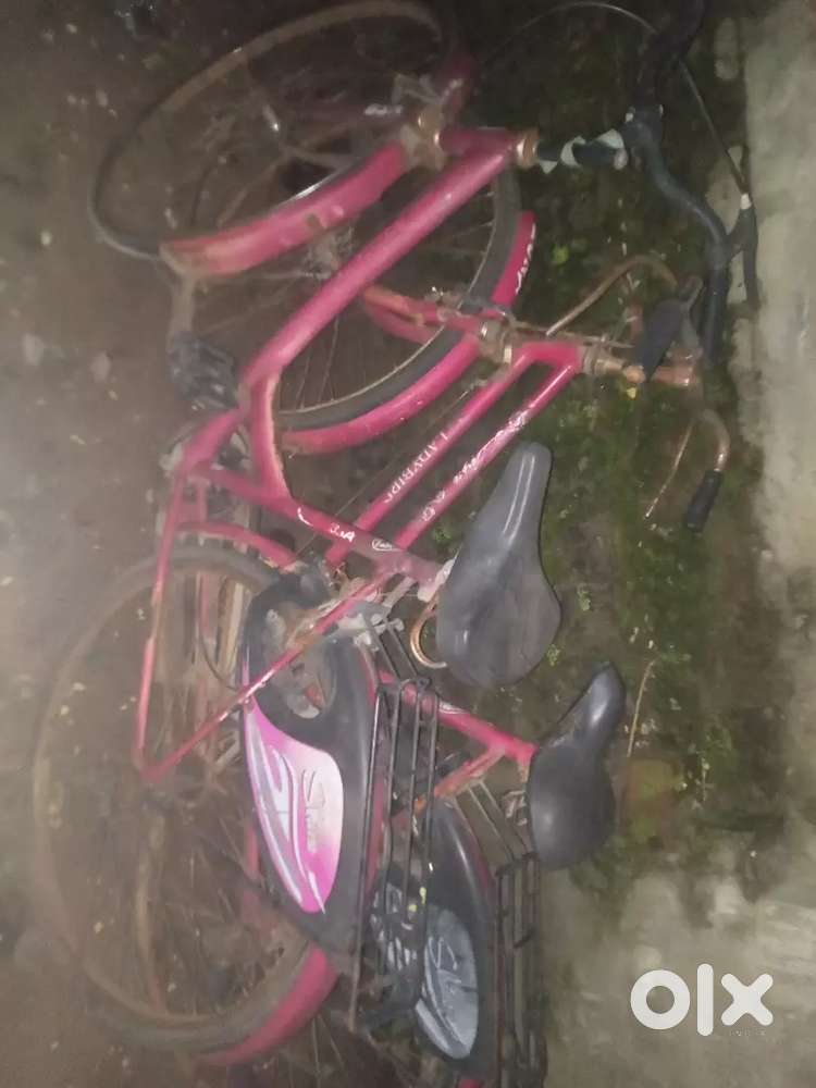 Ladies cycle
