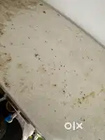 Full time house help