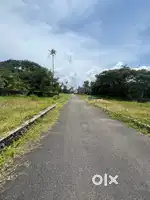 4cent , 5cent House plot in kakkanad