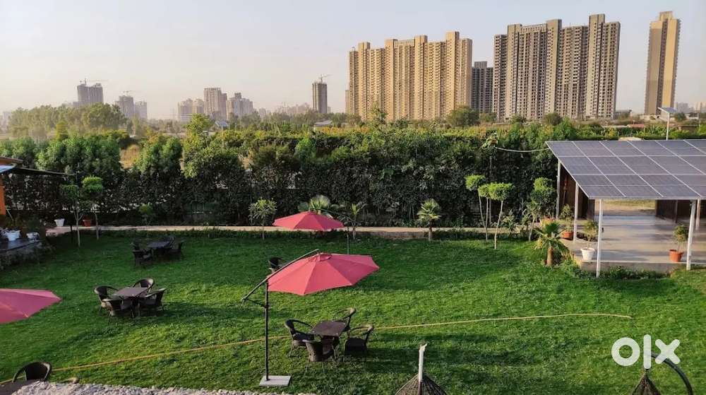 Need freelancer models