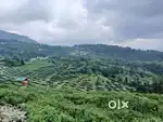 Best opportunity for investments and residential/hotel/Villa/home stay