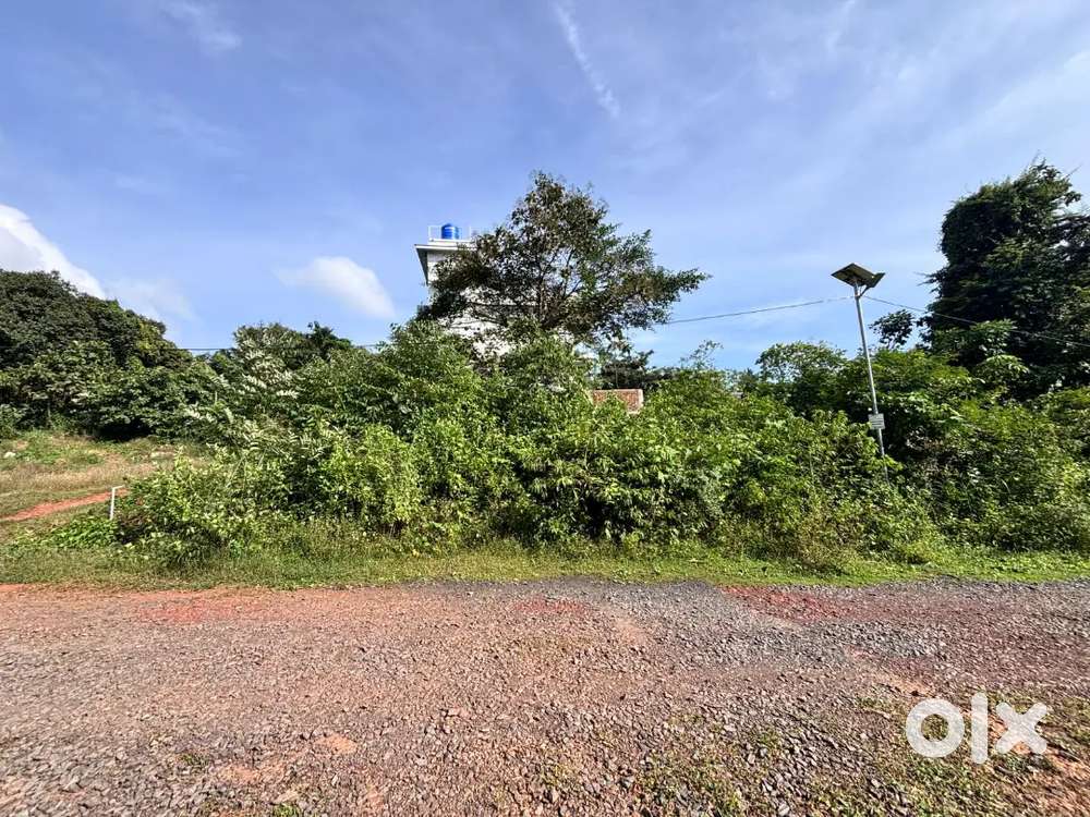 Settlement / NA plots in Carambolim, Marcel,khandola, karmali, old Goa