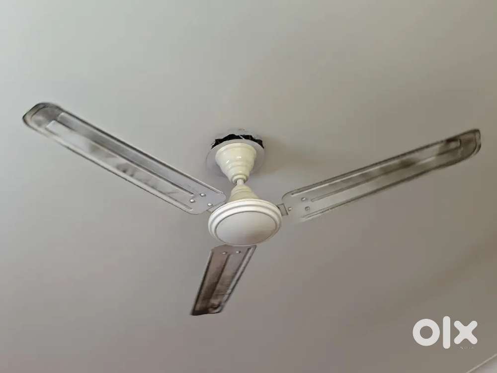 Celling Fan in Running and Good condition