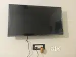 Lloyd tv 7 din old 43inch