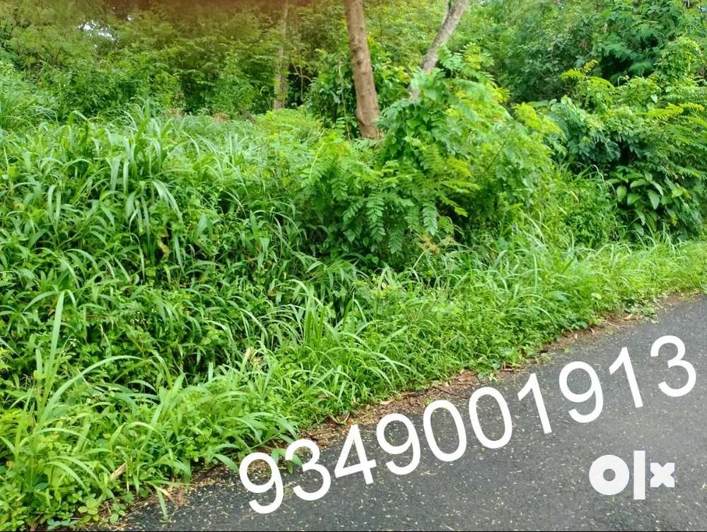14 cent plot near to Mapranam Irinjalakuda Thrissur