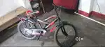 Kids Cycle