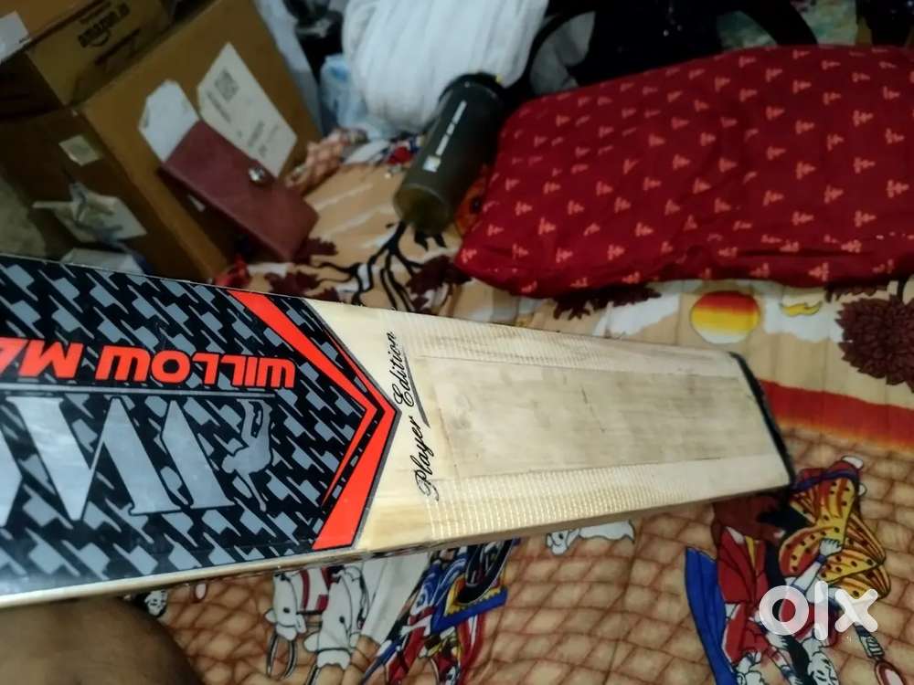 Willow master cricket bat English willow 2guard leather ball long hand