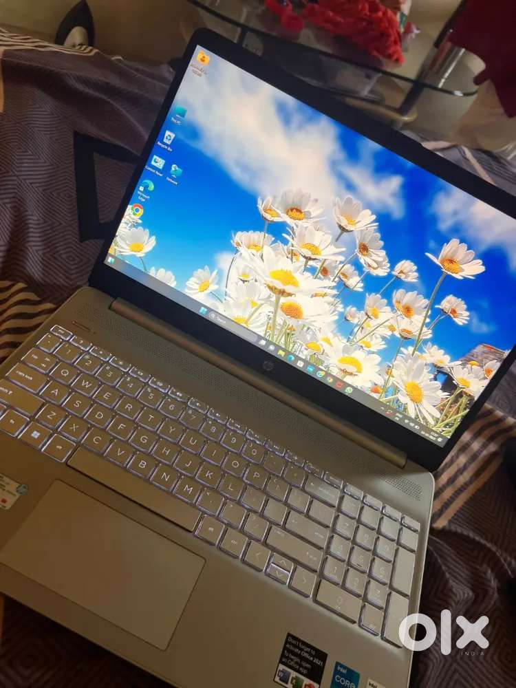 Hp laptop windows 11