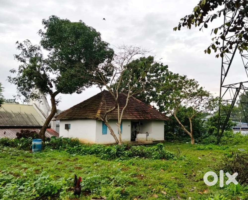 Prime plot in Kothamangalam for rent