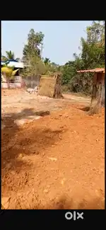 10. Cent residential plot for sale near Thattarambalam.