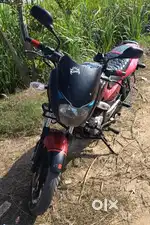 New candisan hai