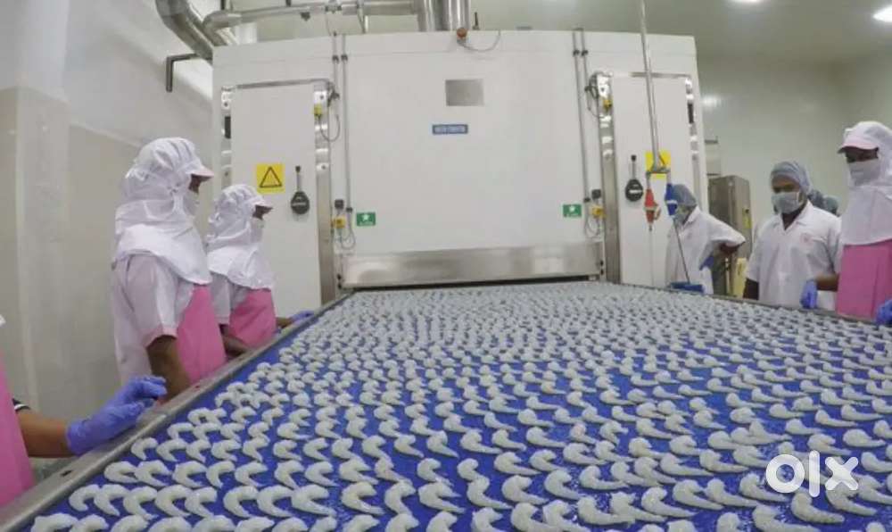 Grocery godown,cake company,prawn company, logistics company