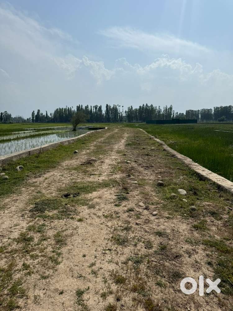 8 marla plots Narbal srinagar
