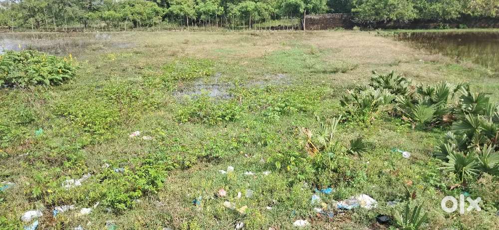 காளீஸ்வரி நகரில் பிளாட் தேவை