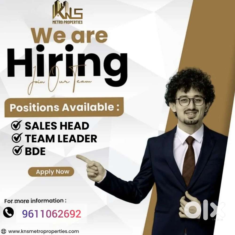 Business Development executive