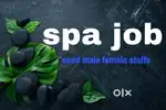 Hiring Spa Staff in Chikmagalur  Male & Female Therapists