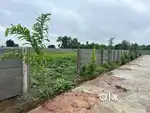 Gaytri farmland