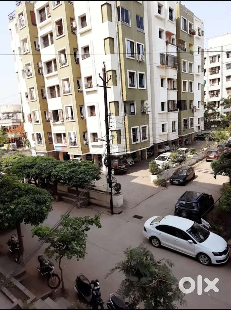 Need a girl roommate