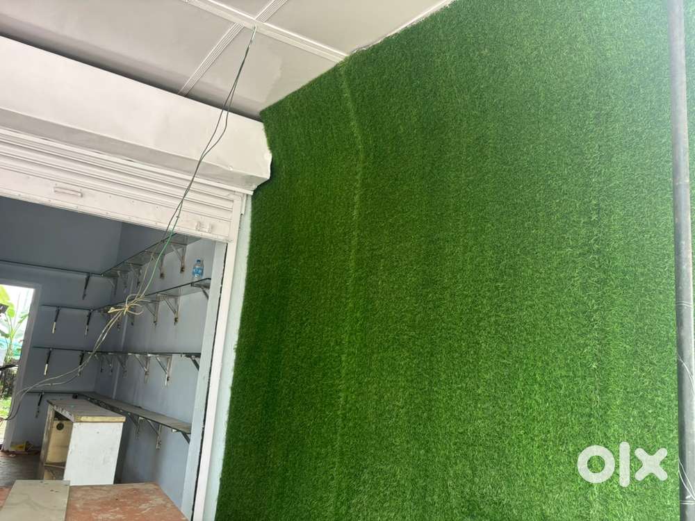 Nursery and Flower shop