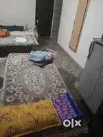 Need female roommates
