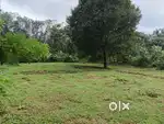 20 cent plot for sale