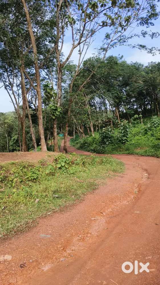 45 cent(karabhoomi) for sale in vettinadu