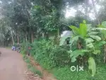 Residential Land 7.5 cent Kiralur Velur Thrissur