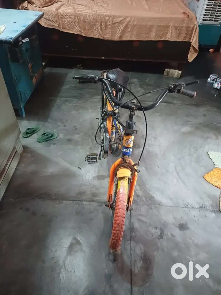 Choti cycle