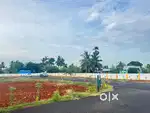 LOW BUDGET DTCP APPROVED AND RERA APPROVED PLOTS FOR URGENT SALE