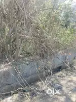 540m2 settlement plot for Sale in Damolem ,Chandor Road.