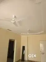 1 bhk furnished flat available from 15th July  for rent powai