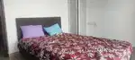 2 BHK semi furnished apartments for rent aluva