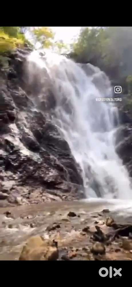 Premium 182acres coeffe estate for sale near madikeri Coorg