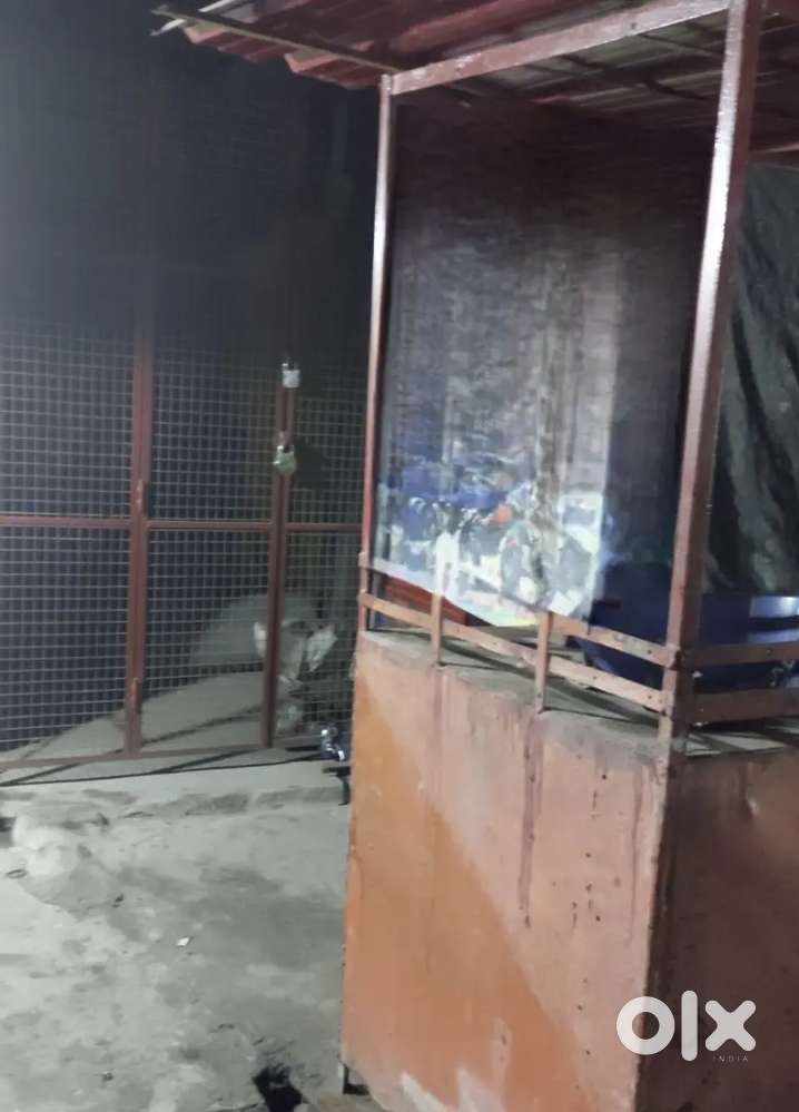 Shop available hai hydrabad gate BHU pe... Cafe ya kisi b dukan k liye