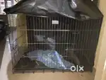 Dog crate 43 Inch