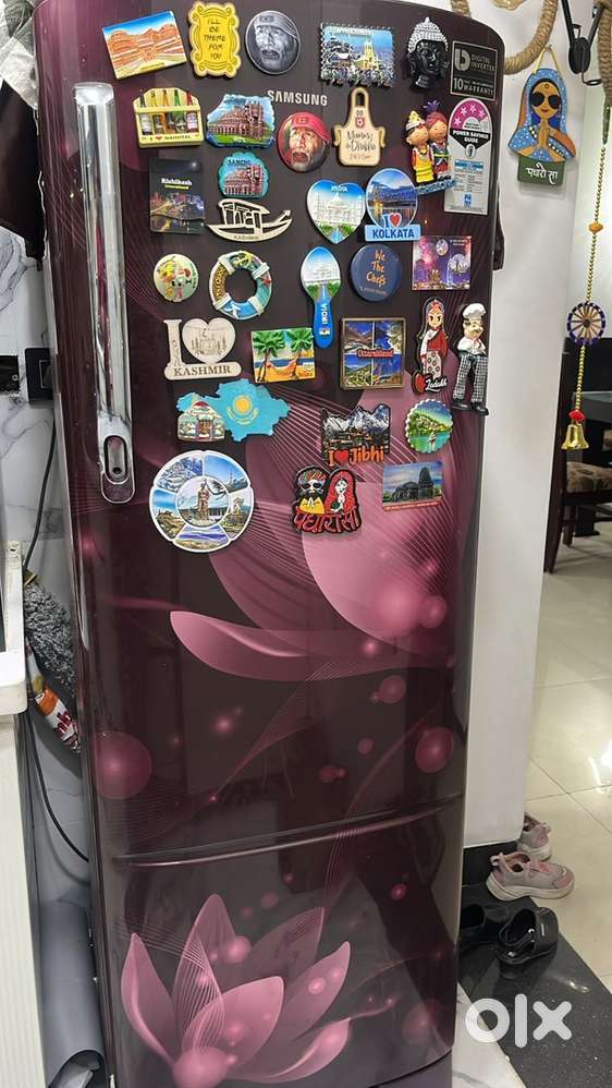 Samsung Fridge 2 Year Old