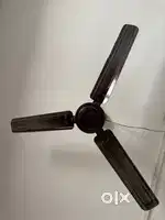 Ceiling fan