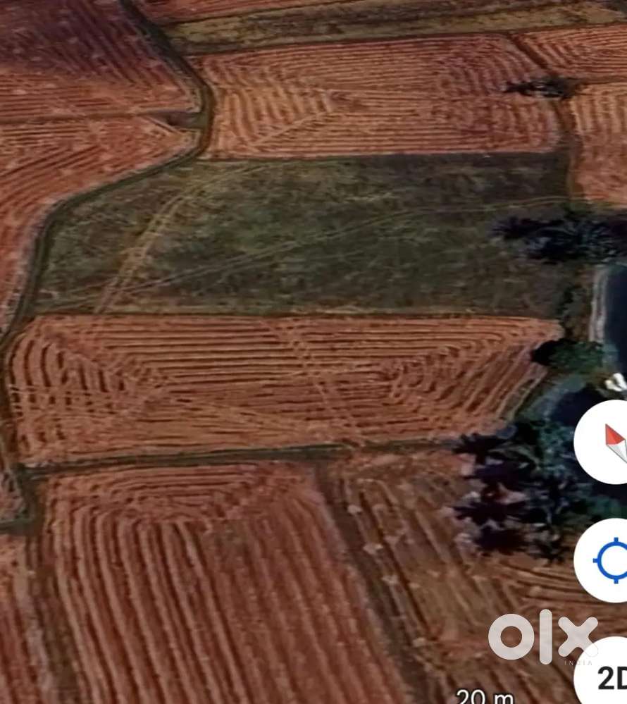 Vari boomi Gorripudi