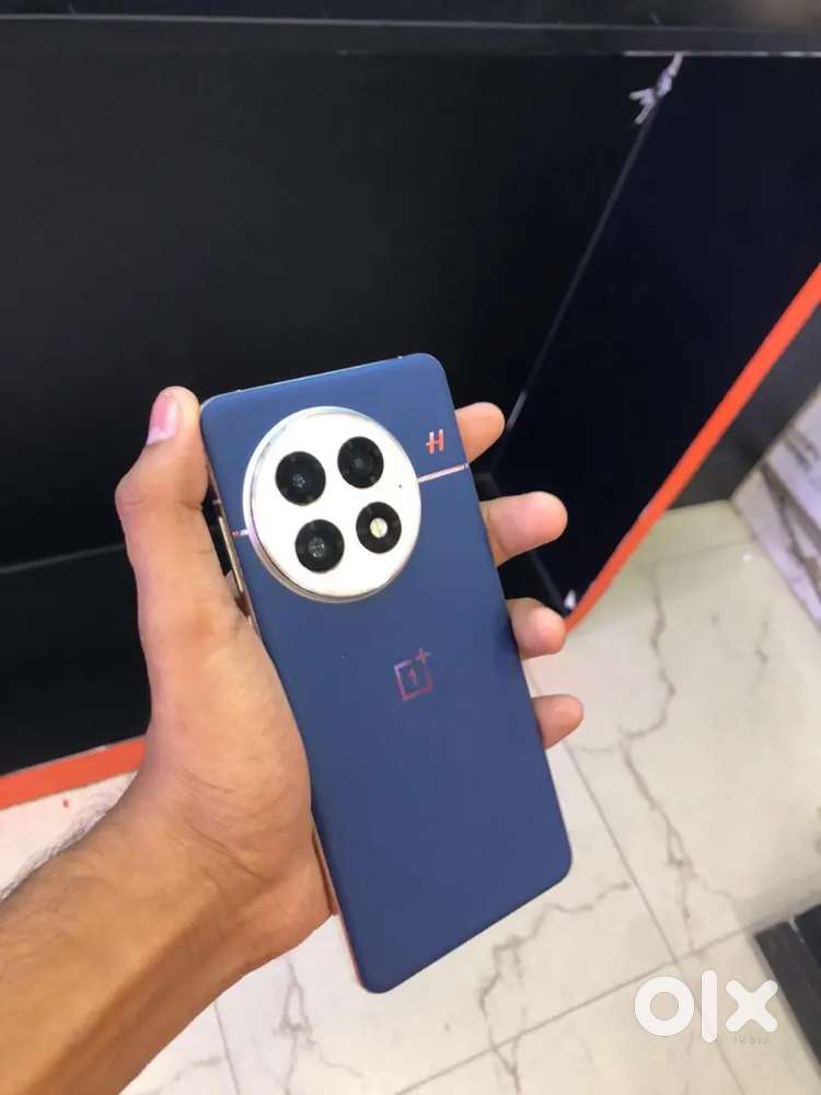 Oneplus13 12/256gb