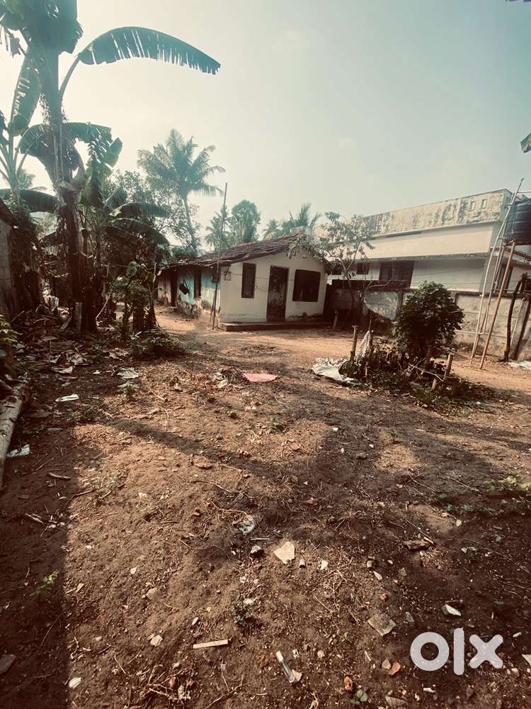 6 cent plot for sale
