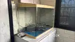 Fish tank in great condition
