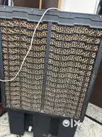 All mode working good condition good health and body condition
